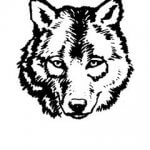 Tukes Valley Primary Logo - No Staff Photo